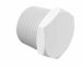 Threaded Plug 1 NPT in White Polypropylene