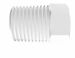 White Prop. Plug 1/4 NPT