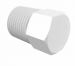 Animal Derivative Free Polypropylene Threaded Plug 1/8 NPT