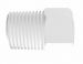 Animal Derivative Free Polypropylene Threaded Plug 1/8 NPT