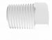White Prop. Plug 1/4 NPT
